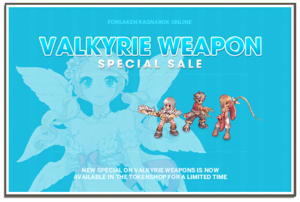 3 Valkyrie Weapon Package